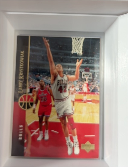 1994-95 Upper Deck #206 Larry Krystkowiak — front