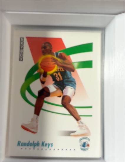 1991-92 Skybox Basketball #29 Randolph Keys — front