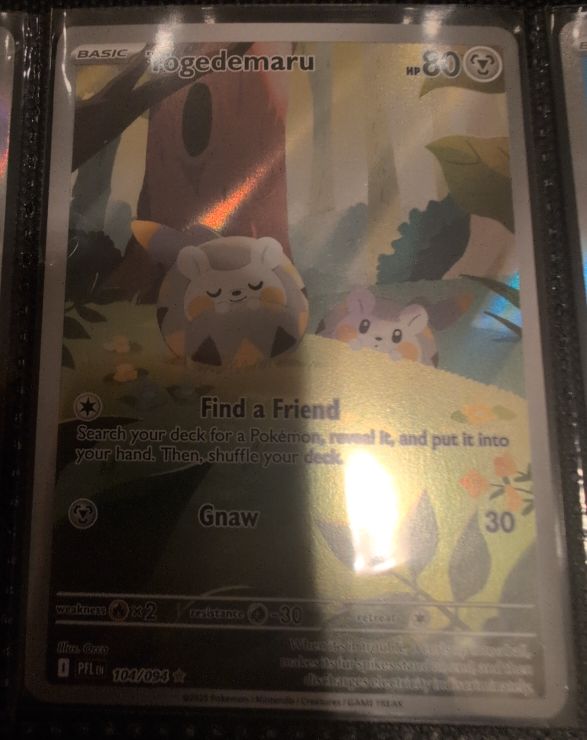 2025 Pokémon #104 Togedemaru — front