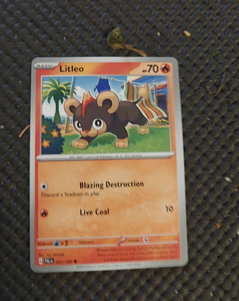 2022 Pokémon SV02: Paldea Evolved #31 Litleo — front