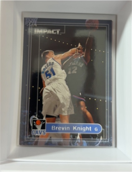1999-00 SkyBox Impact #34 Brevin Knight — front