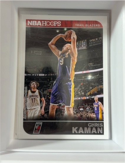 2014-15 Panini NBA Hoops #165 Chris Kaman — front