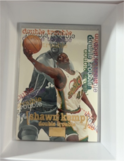 1996-97 Skybox Premium Double Trouble #269 Shawn Kemp — front