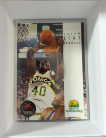 1993-94 Skybox Premium #169 Shawn Kemp — front