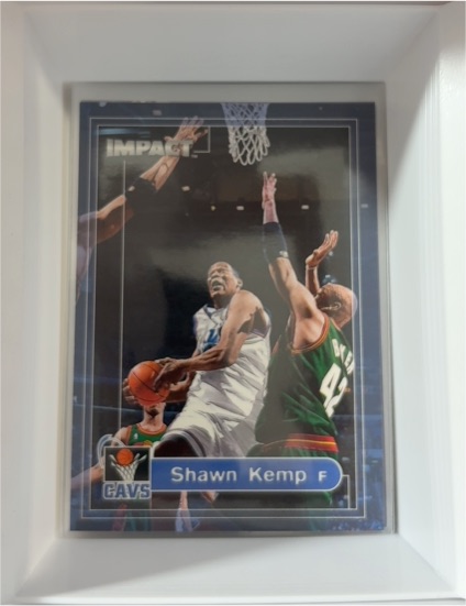 1999-00 SkyBox Impact #173 Shawn Kemp — front