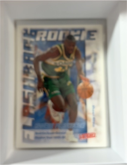 1994-95 Fleer #320 Glenn Robinson — front