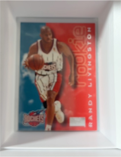 1996-97 SkyBox Premium #220 Randy Livingston Rookie Houston Rockets — front