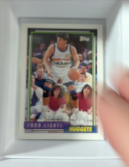 1992-93 Topps Gold #182G Todd Lichti — front