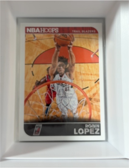 2014-15 Panini NBA Hoops #102 Robin Lopez — front
