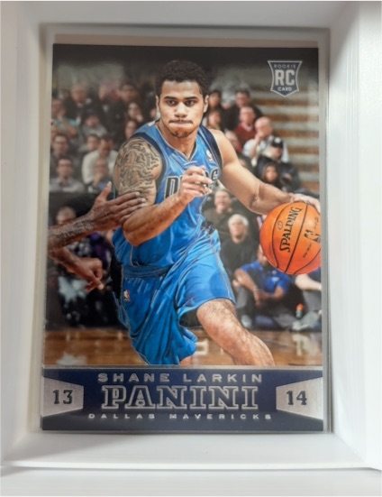 2013-14 Panini #192 Shane Larkin — front