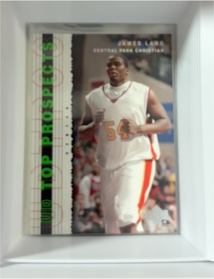 2003-04 Upper Deck UD Top Prospects #45 James Lang — front