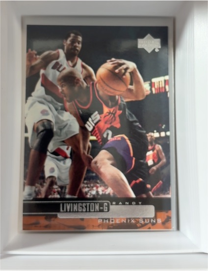 1999-00 Upper Deck #276 Randy Livingston — front