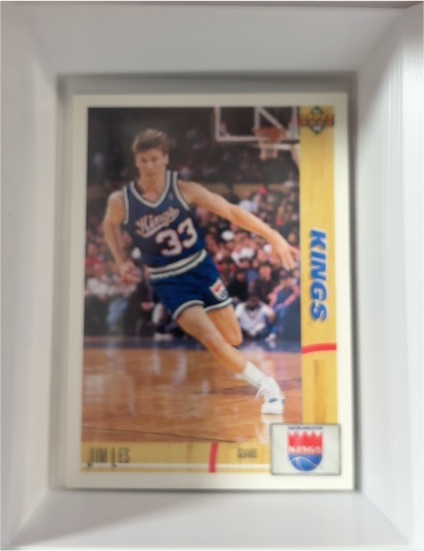 1991-92 Upper Deck #360 Jim Les — front