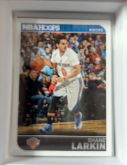 2014-15 Panini NBA Hoops #129 Shane Larkin — front
