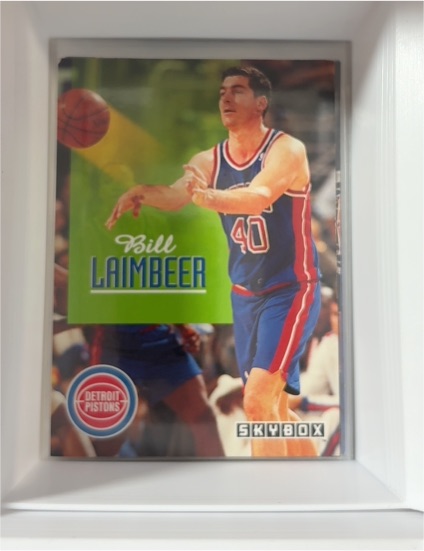 1992-93 Skybox #70 Bill Laimbeer — front