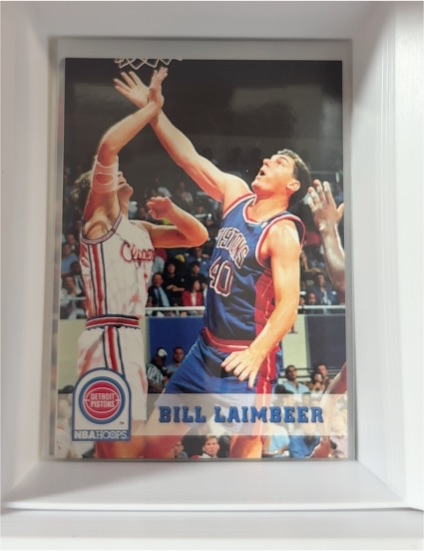 1993-94 NBA Hoops #62 Bill Laimbeer — front