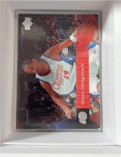 2006-07 Upper Deck #79 Shaun Livingston — front