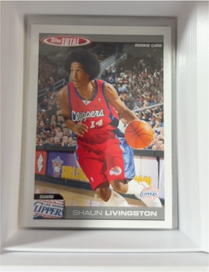 2004-05 Topps Total #329 Shaun Livingston — front