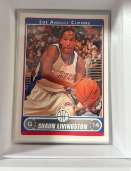2006-07 Topps #164 Shaun Livingston — front