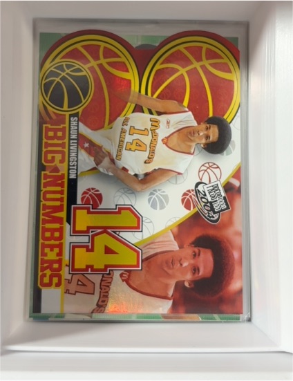 2004 Press Pass Big Numbers #BN10 Shaun Livingston — front