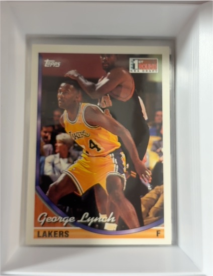 1993-94 Topps #264 George Lynch — front