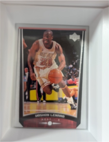 1998-99 Upper Deck #84 Voshon Lenard — front
