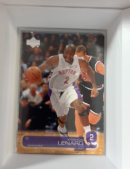 2002-03 Upper Deck #373 Voshon Lenard — front