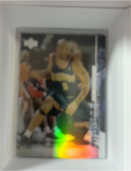1993-94 Upper Deck Special Edition #Dino Radja — front