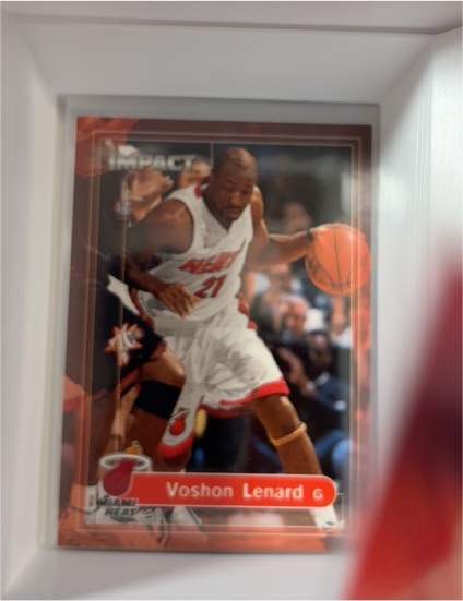1999-00 Skybox Impact #57 Voshon Lenard — front