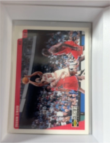 1997-98 Upper Deck Collector's Choice #17 Dennis Rodman — front