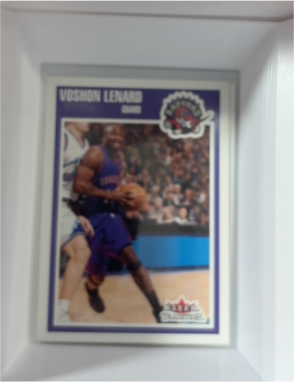 2002-03 Fleer Tradition #151 Voshon Lenard — front