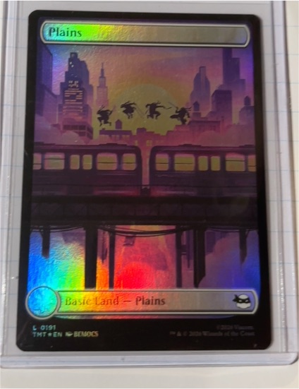 MTG Teenage Mutant Ninja Turtles #0191 Plains — front