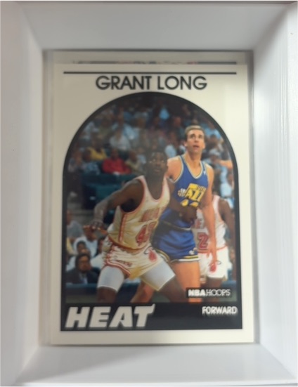 1989-90 NBA Hoops #141 Grant Long — front