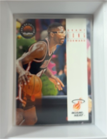 1993-94 Skybox Premium #unknown Grant Long — front
