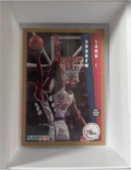 1992-93 Fleer #172 Andrew Lang — front