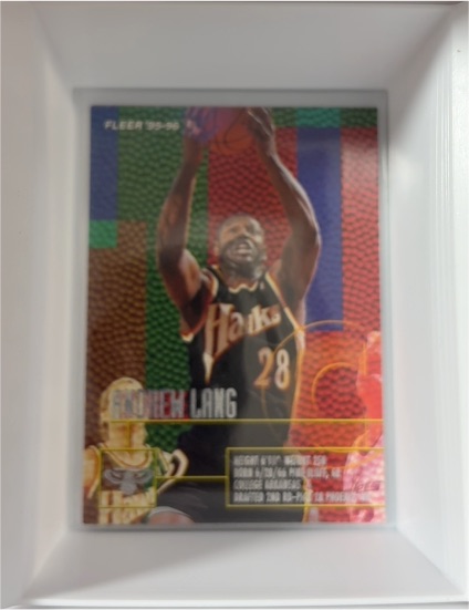1995-96 Fleer #28 LaPhonso Ellis — front