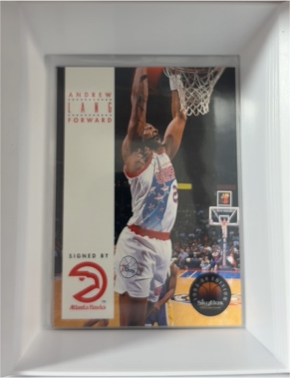 1993-94 Skybox Premium #141 Andrew Lang Atlanta Hawks — front