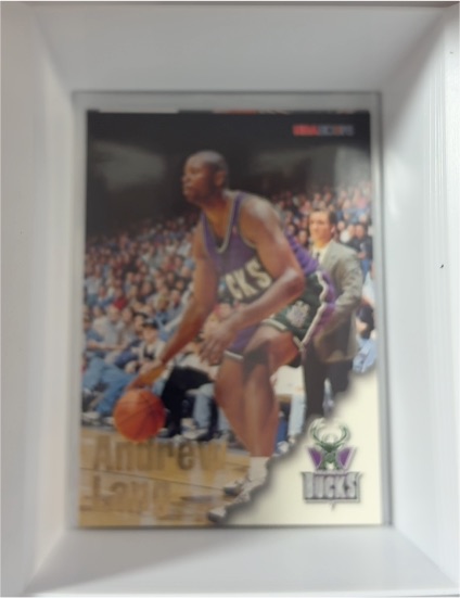 1994-95 Stadium Club #34 Andrew Lang — front