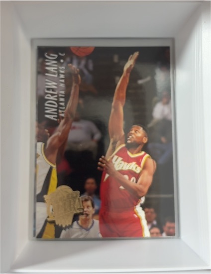 1994-95 Fleer Ultra #5 Andrew Lang — front