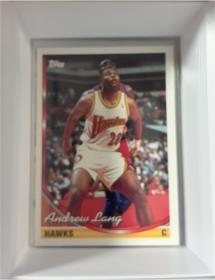 1993-94 Topps #239 Andrew Lang — front