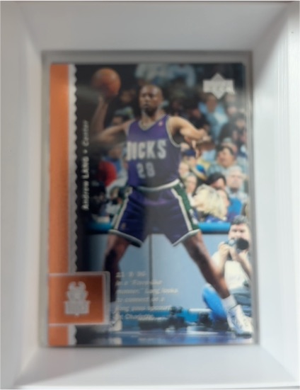 1996-97 Upper Deck #29 LaPhonso Ellis — front