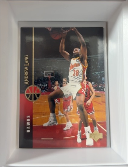 1994-95 Upper Deck #110 Andrew Lang — front