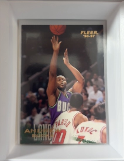 1996-97 Fleer #19 Alonzo Mourning — front