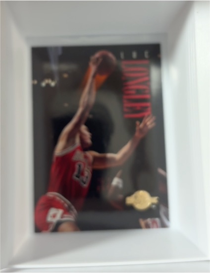 1998-99 Upper Deck Michael Jordan Living Legend #201 — front