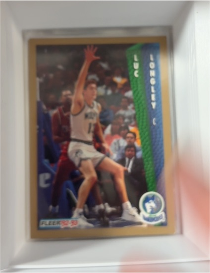 1992-93 Fleer #134 Luc Longley — front