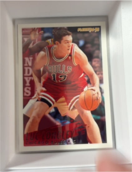 1994-95 Fleer #33 Luc Longley — front