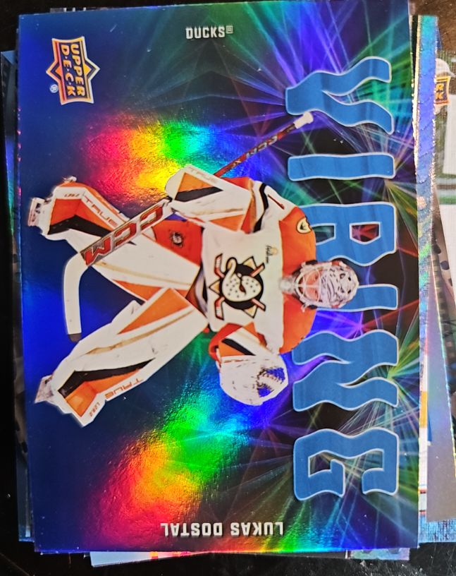 2025-26 Upper Deck #VB-25 Lukas Dostal Vibing — front