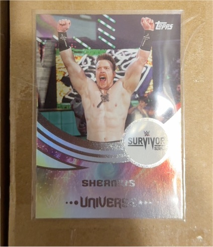 2025 Topps Universe WWE #293 Sheamus Survivor Series Event Variation — front