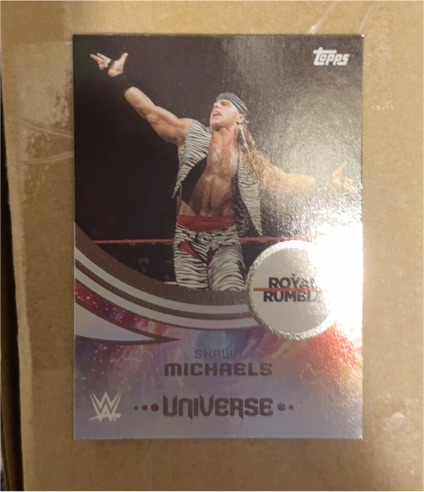 2025 Topps Universe WWE #213 Shawn Michaels Royal Rumble — front