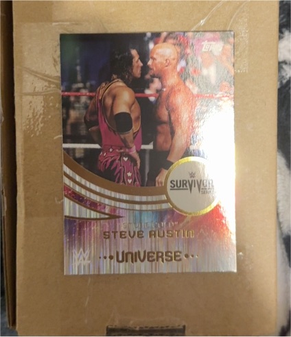 2025 Topps Universe WWE Survivor Series #Steve Austin — front